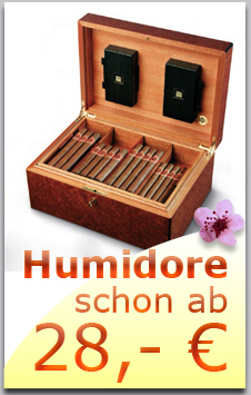 Hochwertige Humidore